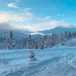Pa * Gaustablikk